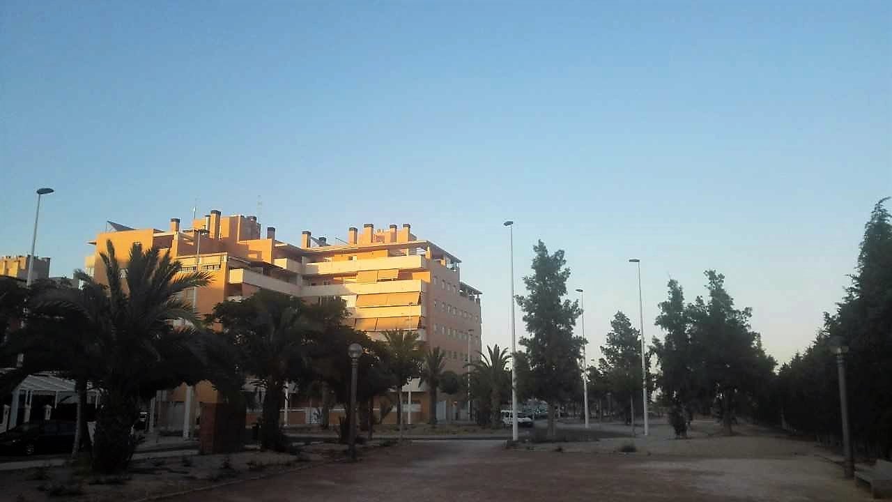 Agosto comienza en Elche, Crevillent y Santa Pola con temperaturas sin cambios y previsión de descenso para el fin de semana Agosto comienza en Elche, Crevillent y Santa Pola con temperaturas sin cambios y previsión de descenso para el fin de semana