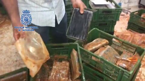 Incautan m&aacute;s de media tonelada de coca&iacute;na escondida dentro de bloques de comida congelada