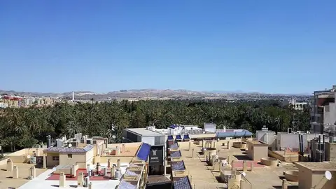 Elche Elche