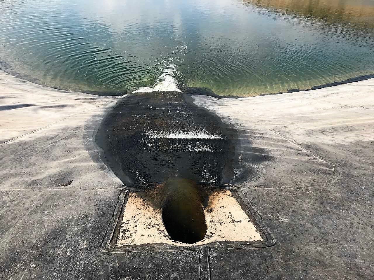 La SAT San Enrique de Elche recupera el proyecto de modernización del sistema de regadío para sus 600 comuneros La SAT San Enrique de Elche recupera el proyecto de modernización del sistema de regadío para sus 600 comuneros