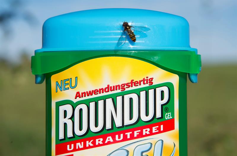 La empresa Monsanto deberá pagar 289 millones de dólares a un jardinero con cáncer que usó uno de sus herbicidas La empresa Monsanto deberá pagar 289 millones de dólares a un jardinero con cáncer que usó uno de sus herbicidas