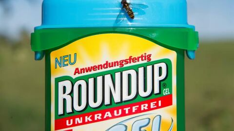 Herbicida de Monsanto