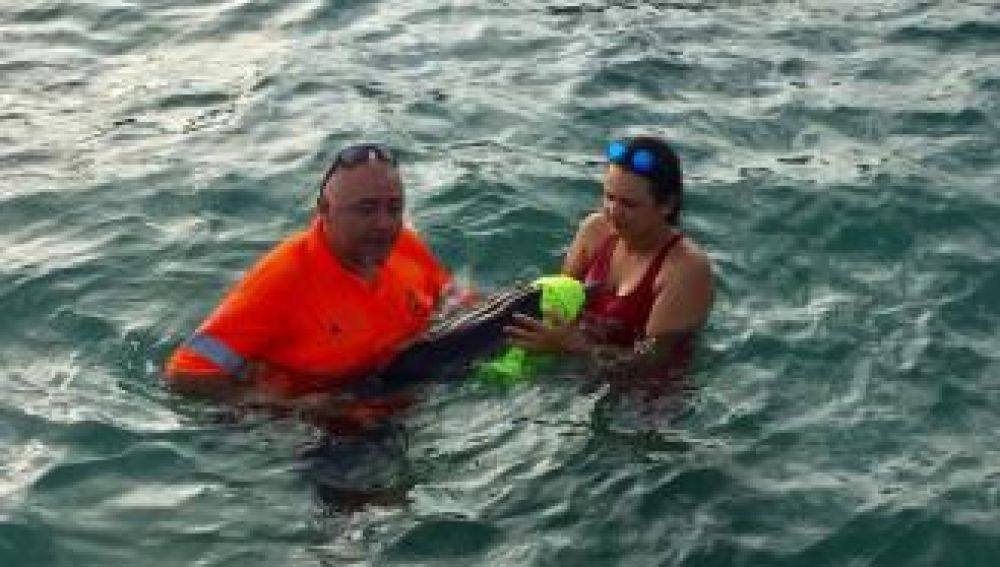 Rescatan a una cría de delfín en Murcia