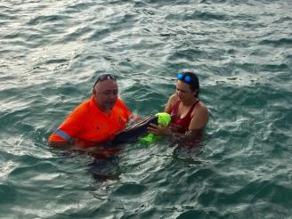 Rescatan a una cría de delfín en La Manga Rescatan a una cría de delfín en La Manga