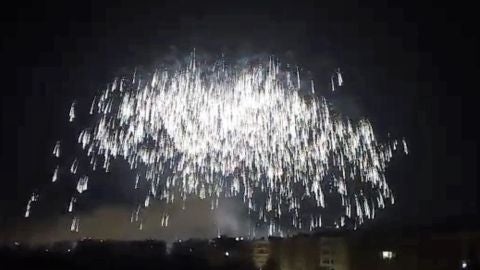 Palmera de la Virgen de la Nit de l'Alb&agrave; de Elche de 2017