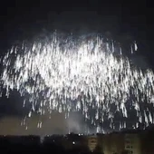 Palmera de la Virgen de la Nit de l'Albà de Elche de 2017 Palmera de la Virgen de la Nit de l'Albà de Elche de 2017