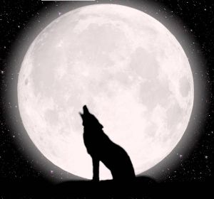 Noche oscura Noche oscura