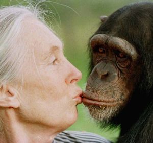 Jane Goodall Jane Goodall