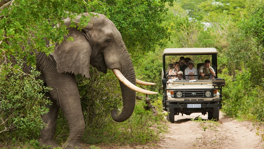 Parque Nacional Kruger 