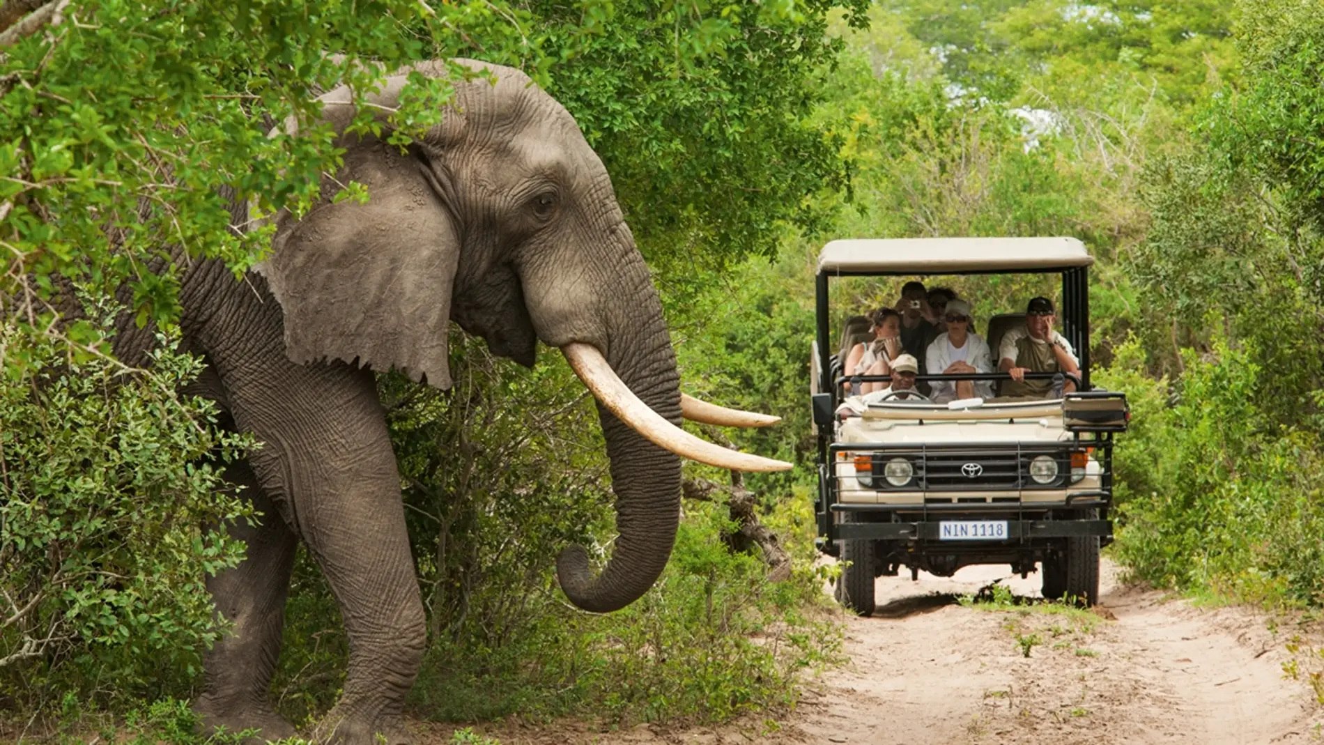 Parque Nacional Kruger 