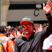 Fernando Alonso, durante un Gran Premio
