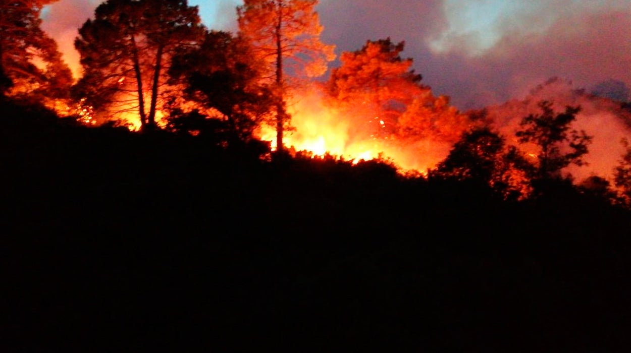 Declarado un incendio forestal en un paraje de Tarifa Declarado un incendio forestal en un paraje de Tarifa