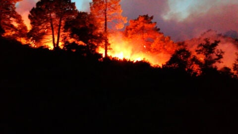 Incendio en Tarifa