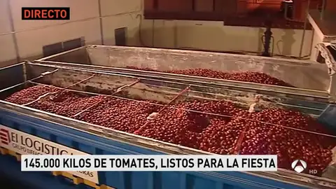 Imagen de archivo: Tomatina tomatina