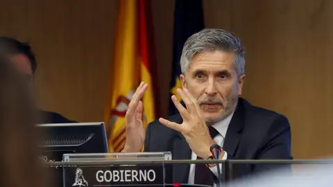 El ministro del Interior, Fernando Grande-Marlaska El ministro del Interior, Fernando Grande-Marlaska