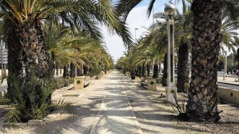 Avenida del Ferrocarril de Elche
