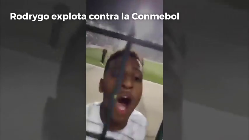 Polémica de Rodrygo, la perla que fichó el Real Madrid: "Conmebol, hijos de p..." Polémica de Rodrygo, la perla que fichó el Real Madrid: "Conmebol, hijos de p..."