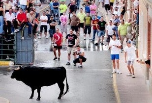 Los festejos taurinos se cobran 7 vidas en la Comunitat Valenciana Los festejos taurinos se cobran 7 vidas en la Comunitat Valenciana
