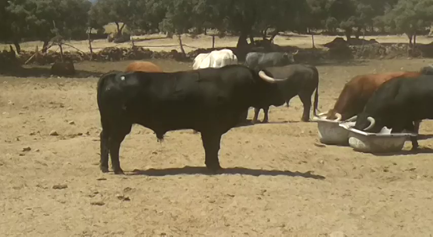 Noticias Mediodía Cuenca 07/09/18 Noticias Mediodía Cuenca 07/09/18