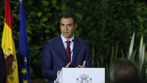 Pedro S&aacute;nchez en una imagen de archivo