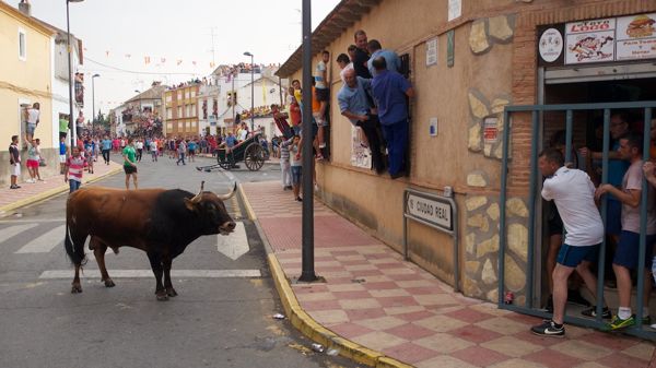 Fernan Caballero celebra hoy el encierro de toros al estilo fernanduco Fernan Caballero celebra hoy el encierro de toros al estilo fernanduco