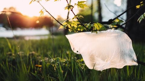 Kenia cumple un a&ntilde;o sin bolsas de pl&aacute;stico 