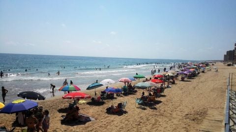 Imagen de archivo de la playa de Arenales del Sol de Elche.