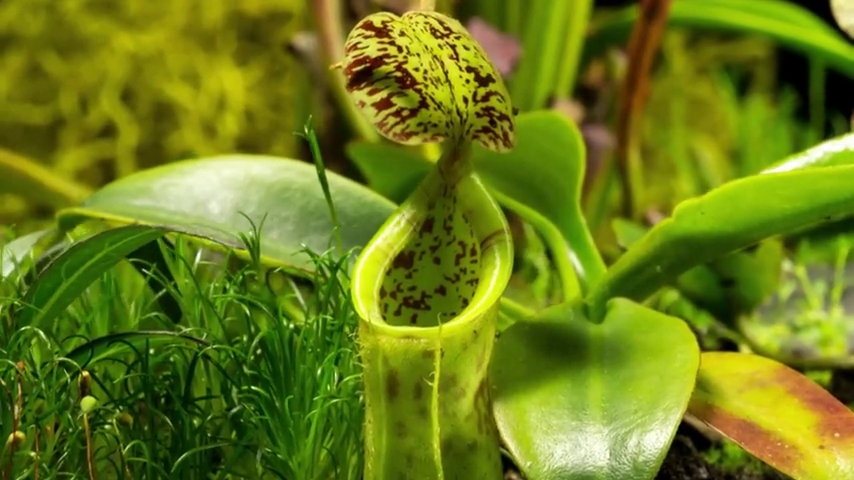 Juan Carlos Atienza: "Todas las anteriores extinciones han sido debidas a catástrofes naturales; ahora es por los seres humanos" Juan Carlos Atienza: "Todas las anteriores extinciones han sido debidas a catástrofes naturales; ahora es por los seres humanos"