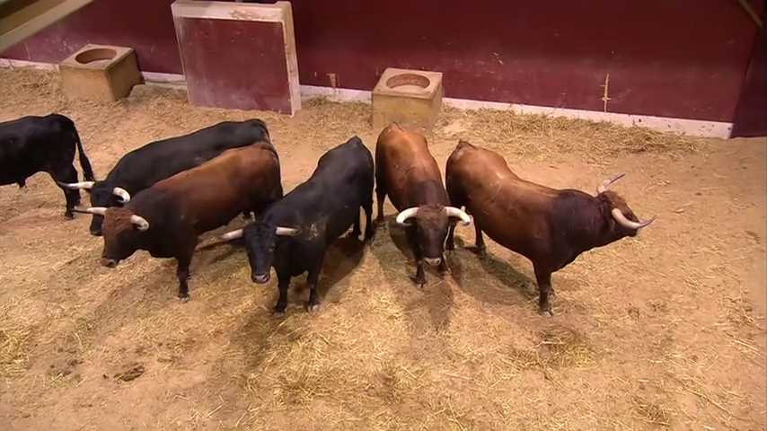 Actividades de los aficionados taurinos navarros Actividades de los aficionados taurinos navarros