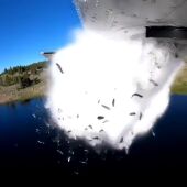 Hipnótico vídeo de una 'lluvia' de peces en un lago de Utah