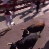 Los toros de la ganadería de Marqués de Quintanar protagonizan un encierro limpio y ordenado en San Sebastián de los Reyes