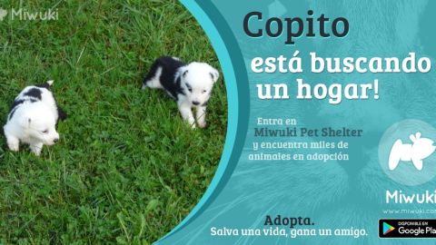 M&aacute;s que promesas