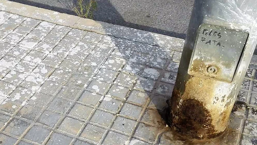 Corrosión que presenta la base de una de las farolas del alumbrado público de Elche Corrosión que presenta la base de una de las farolas del alumbrado público de Elche