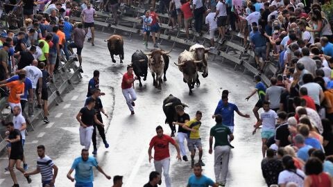 Encierro de la feria del arroz de Calasparra 