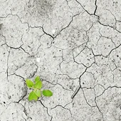 El cambio climático podría modificar el ecosistema de manera significativa El cambio climático podría modificar el ecosistema de manera significativa
