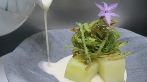 AJO BLANCO DE MECINA BOMBARÓN JOSÉ MIGUEL MAGÍN