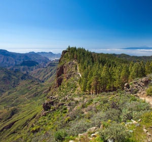 Gran Canaria Gran Canaria