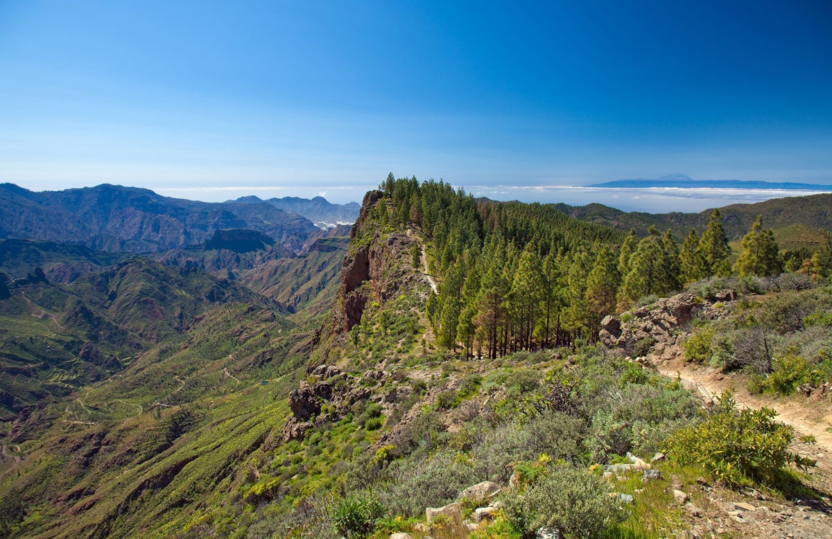 Asociación de Andariegos de Segovia Asociación de Andariegos de Segovia