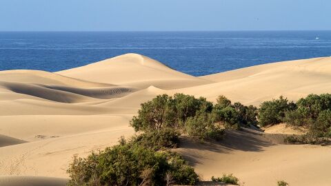 &iquest;Por qu&eacute; debes viajar a Gran Canaria en los pr&oacute;ximos meses?