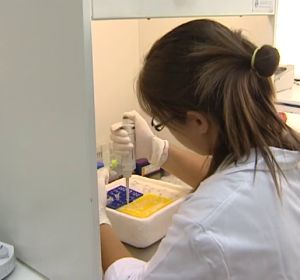 Duplicar la inversión en cáncer hasta 2030 aumentaría la supervivencia al 70% Duplicar la inversión en cáncer hasta 2030 aumentaría la supervivencia al 70%