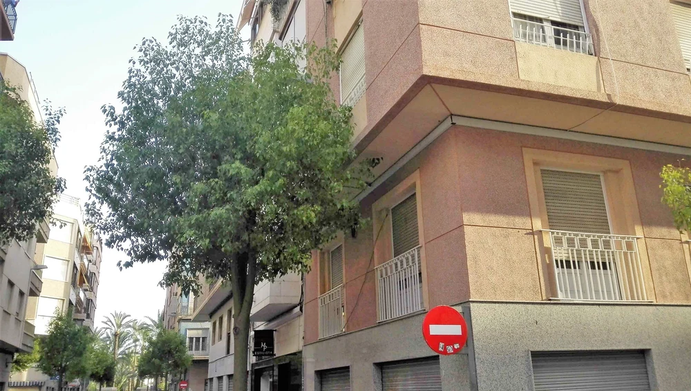 Arbol cuyas ramas invaden la ventana de una vivienda en Elche Arbol cuyas ramas invaden la ventana de una vivienda en Elche