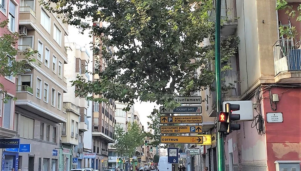 Arbol cuyas ramas dificultan la visibilidad de una señal vertical en Elche Arbol cuyas ramas dificultan la visibilidad de una señal vertical en Elche