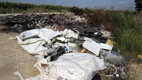 Uno de los puntos del per&iacute;metro de El Hondo que AHSA pide limpiar