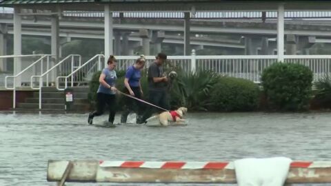 Florence toca tierra en la costa sureste de EEUU como hurac&aacute;n de categor&iacute;a 1