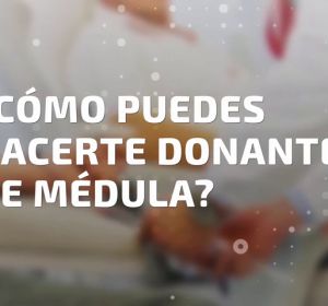 ¿Cómo puedes hacerte donante de médula ósea? ¿Cómo puedes hacerte donante de médula ósea?