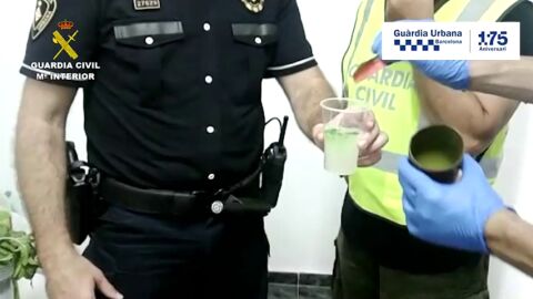 Intervienen en Barcelona ingredientes utilizados para hacer mojitos contaminados con la bacteria 'E.coli'