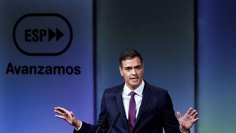 Pedro S&aacute;nchez