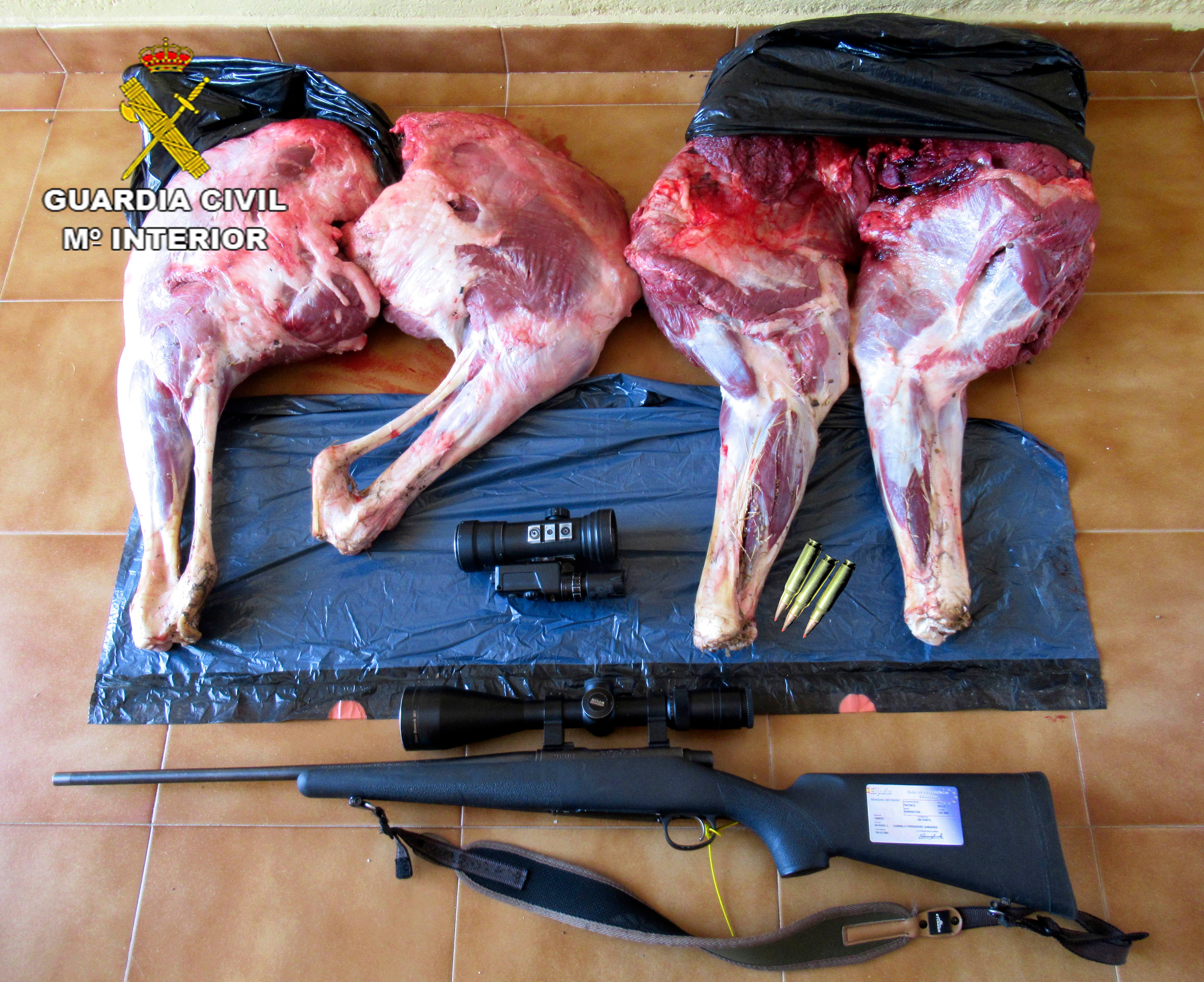 Investigan a tres personas por caza furtiva de un ciervo en una zona cercana al Parque Natural de Cabañeros Investigan a tres personas por caza furtiva de un ciervo en una zona cercana al Parque Natural de Cabañeros