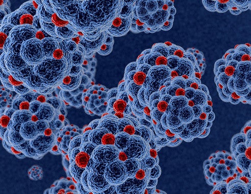 La advertencia de la EMA sobre los tratamientos contra el Covid basados en anticuerpos monoclonales La advertencia de la EMA sobre los tratamientos contra el Covid basados en anticuerpos monoclonales