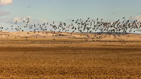 laguna del Hito cuenca